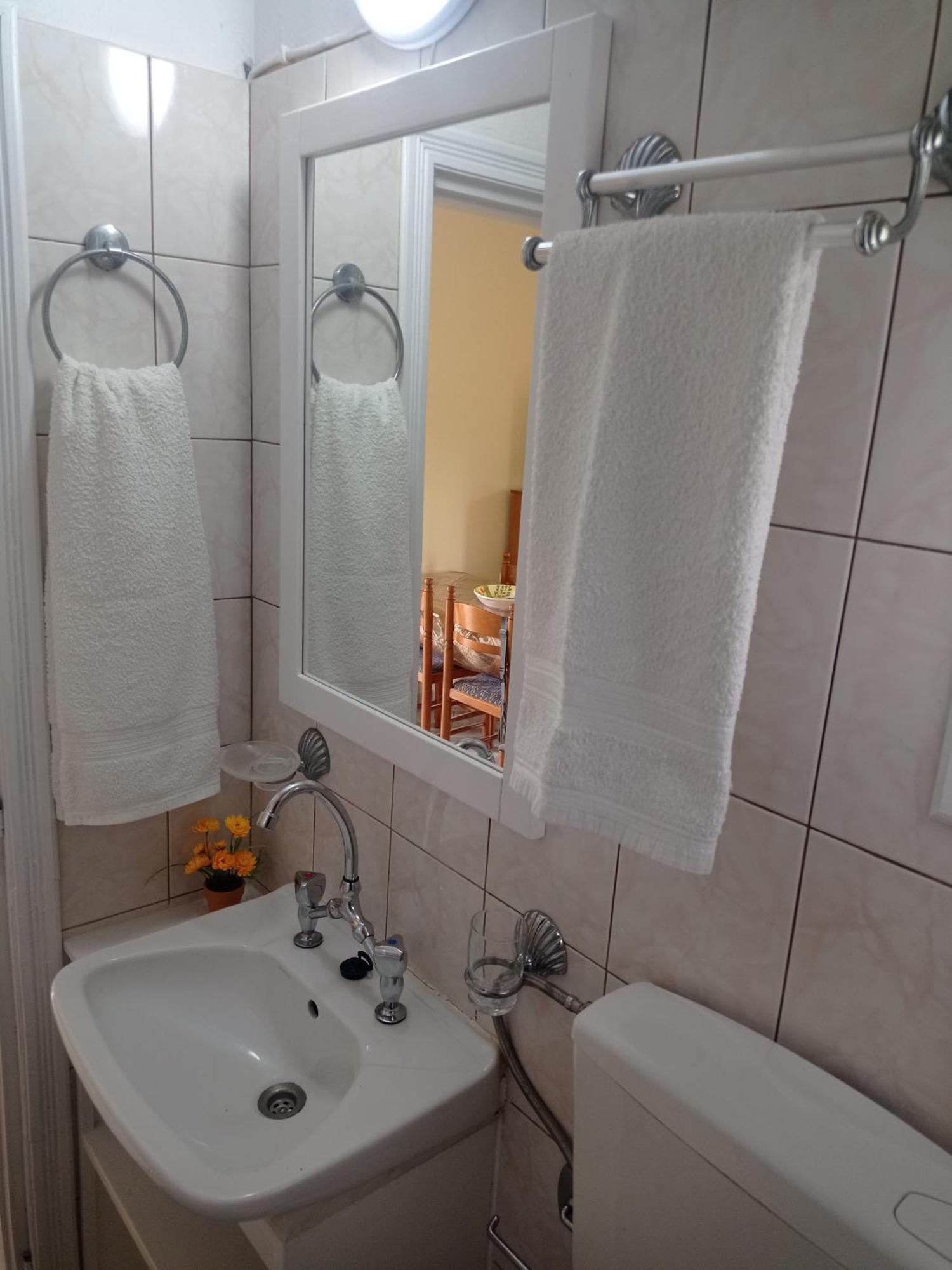 סקופלוס טאון Alexandros Rooms & Studios מראה חיצוני תמונה